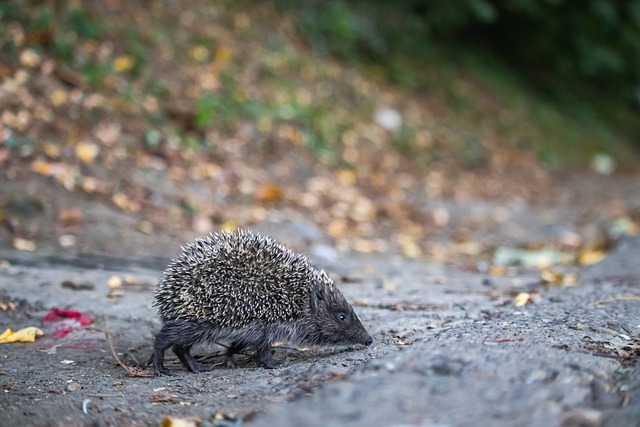 引发了业内 引发了业内