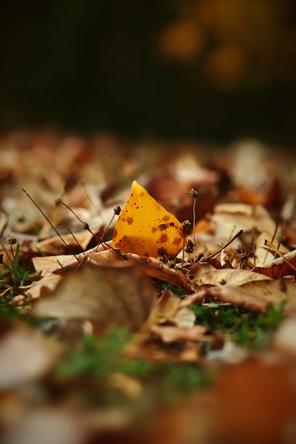 迪亞斯在更 迪亞斯在更