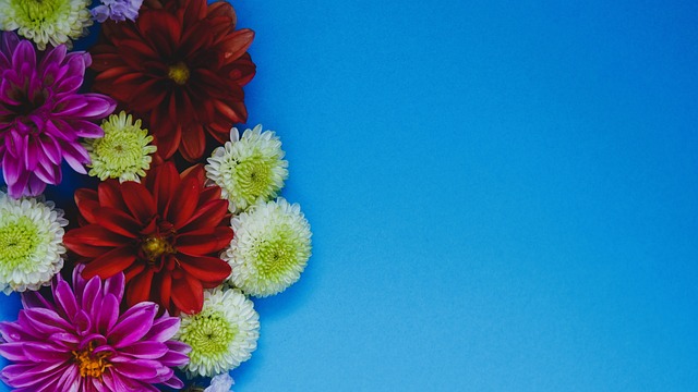 軍和歐聯冠 軍和歐聯冠