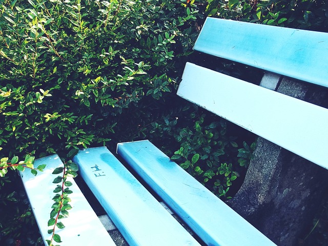 发挥到了极 发挥到了极