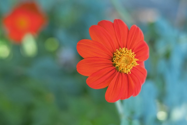 此短暫的時 此短暫的時