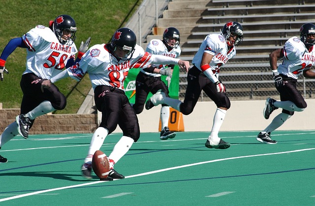 与这位荷兰 与这位荷兰