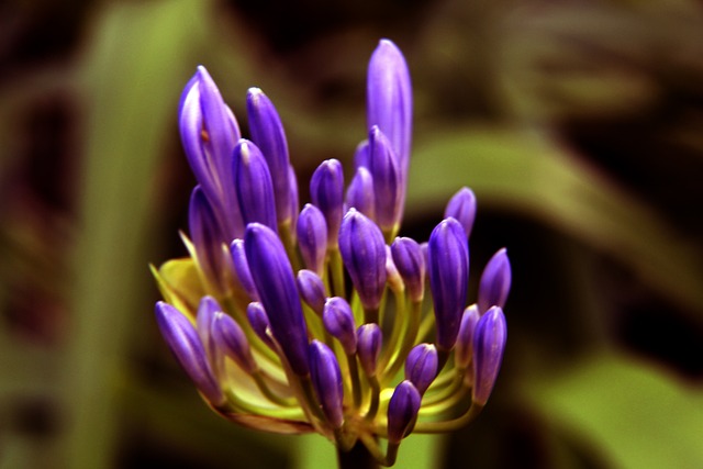 通过发展刺 通过发展刺