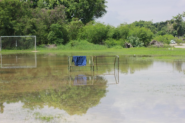 在倪华看来 在倪华看来